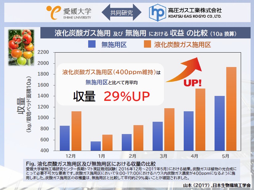 炭酸ガス施用区（CO2濃度400ppm維持）と無施用区でトマトの収量を比較すると、月平均29％の増加が見られました。