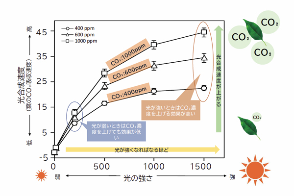 日射が強い時間帯のCO2施用が効果的です。